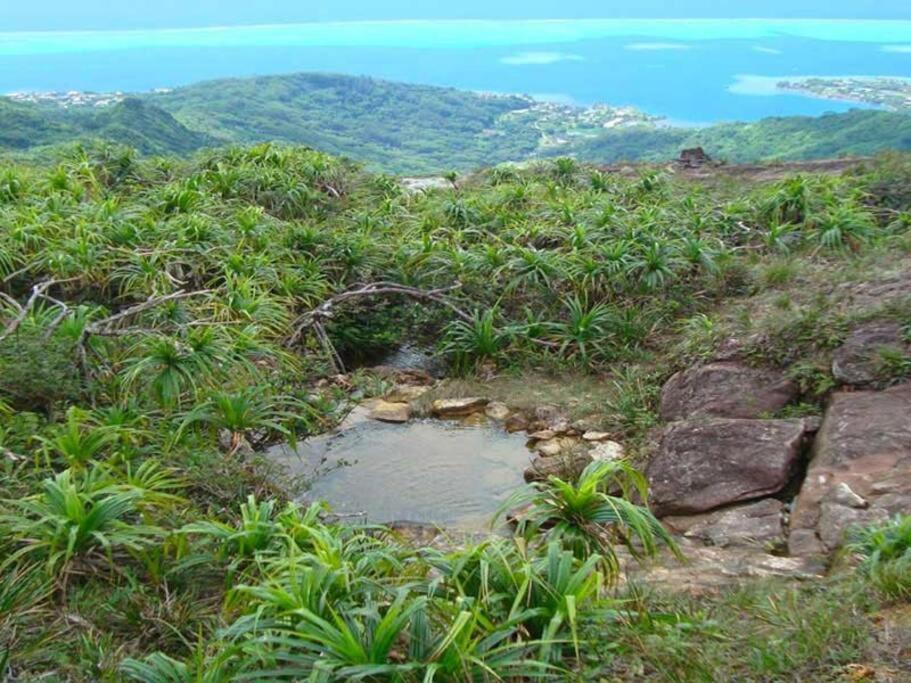Studio Bord De Mer Fare Tahitea Pension Taputapuapea المظهر الخارجي الصورة
